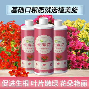 长寿花肥料专用植物营养液盆栽花肥家用植物花卉养花防烂根催花肥
