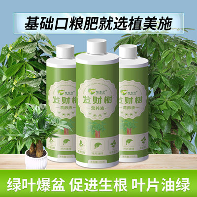 植美施发财树专用植物营养液