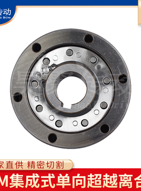 FXM系列集成式非接触式逆止器/单向超越离合器可非标定制FXM51-25