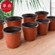 花盆 双色育苗花盆育苗钵插扦加厚大号营养杯种植 育苗A1zoq001
