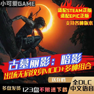 古墓丽影暗影MOD包人工远程安装全DLC送全存档适配steam