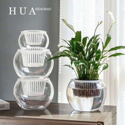 玻璃瓶水培植物透明玻璃花瓶容器绿萝花盆圆球形鱼缸水养小号器皿