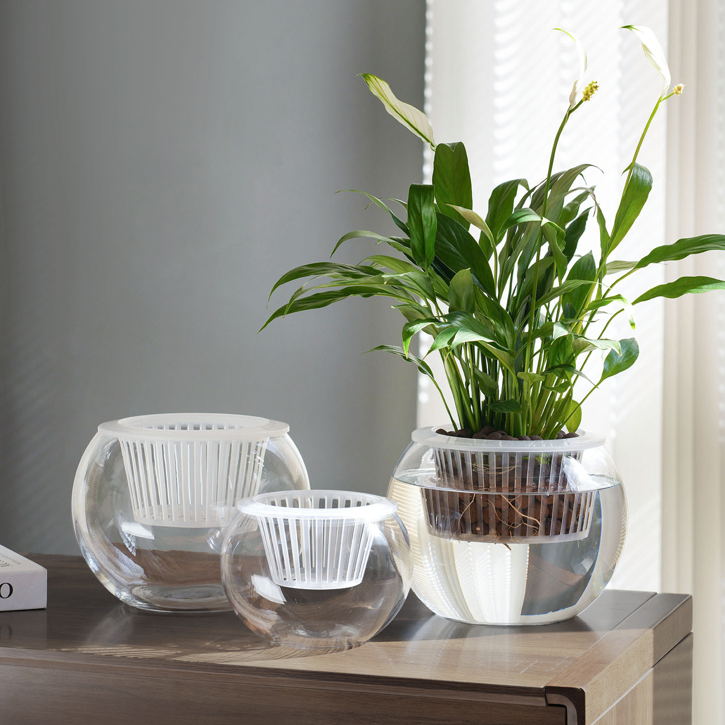 玻璃瓶水培植物透明玻璃花瓶容器绿萝花盆圆球形鱼缸水养小号器皿