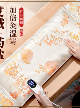 艾草热敷包盐袋海盐电加热理疗袋子暖宫护腰带中药艾灸腰腹部肚子