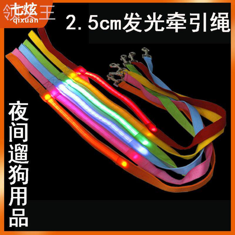 宠物用品发光狗绳牵引USB充电闪光狗拉带LED夜光狗链丝网拉带