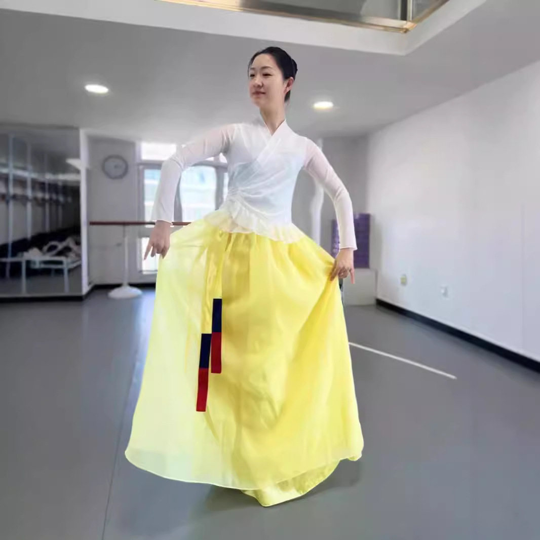朝鲜族舞蹈服女练功服上衣大摆裙练习艺考演出表演民族民间半身裙