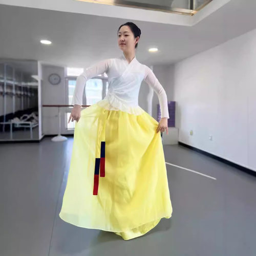 朝鲜族舞蹈服女练功服上衣大摆裙练习艺考演出表演民族民间半身裙