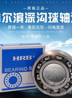 HRB哈尔滨轴承6316 6317 6318 6319 6320 6322 6324 6326 RS ZZ N