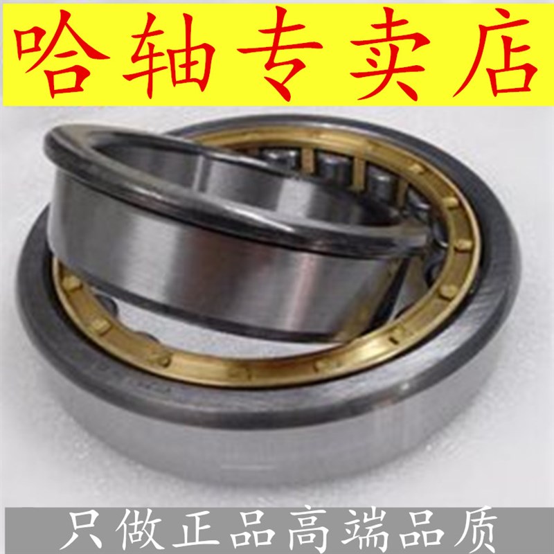 圆柱滚子轴承NJ NU204 205 206 207 208 209 210 211 212EM