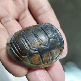 新疆和田玉籽料青花红皮仿古龙龟甲挂件吊坠富甲天下龟壳重40克