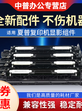 适用夏普MX-C2621 3121 3081 4081 5081 6081 C2622 3082 3582 4082 5082 6082 SF271显影仓 载体显影器组件