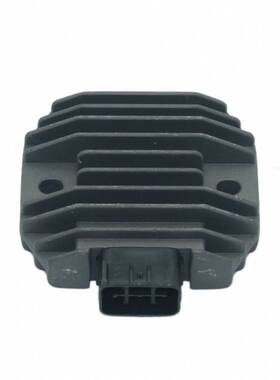 摩托车整流器适用于Yamaha Road Star 1600 Silverado Xv 1600At