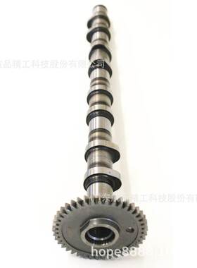 适用宝马2.0DN47D20C凸轮轴总成11318509118 11318575435进气