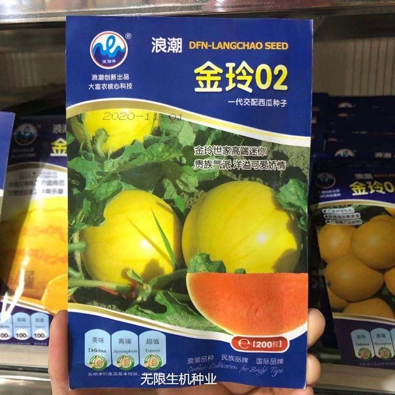 浪潮黄皮黄壤西瓜种子春夏秋四季盆栽超甜黄肉礼品小型西瓜种籽孑