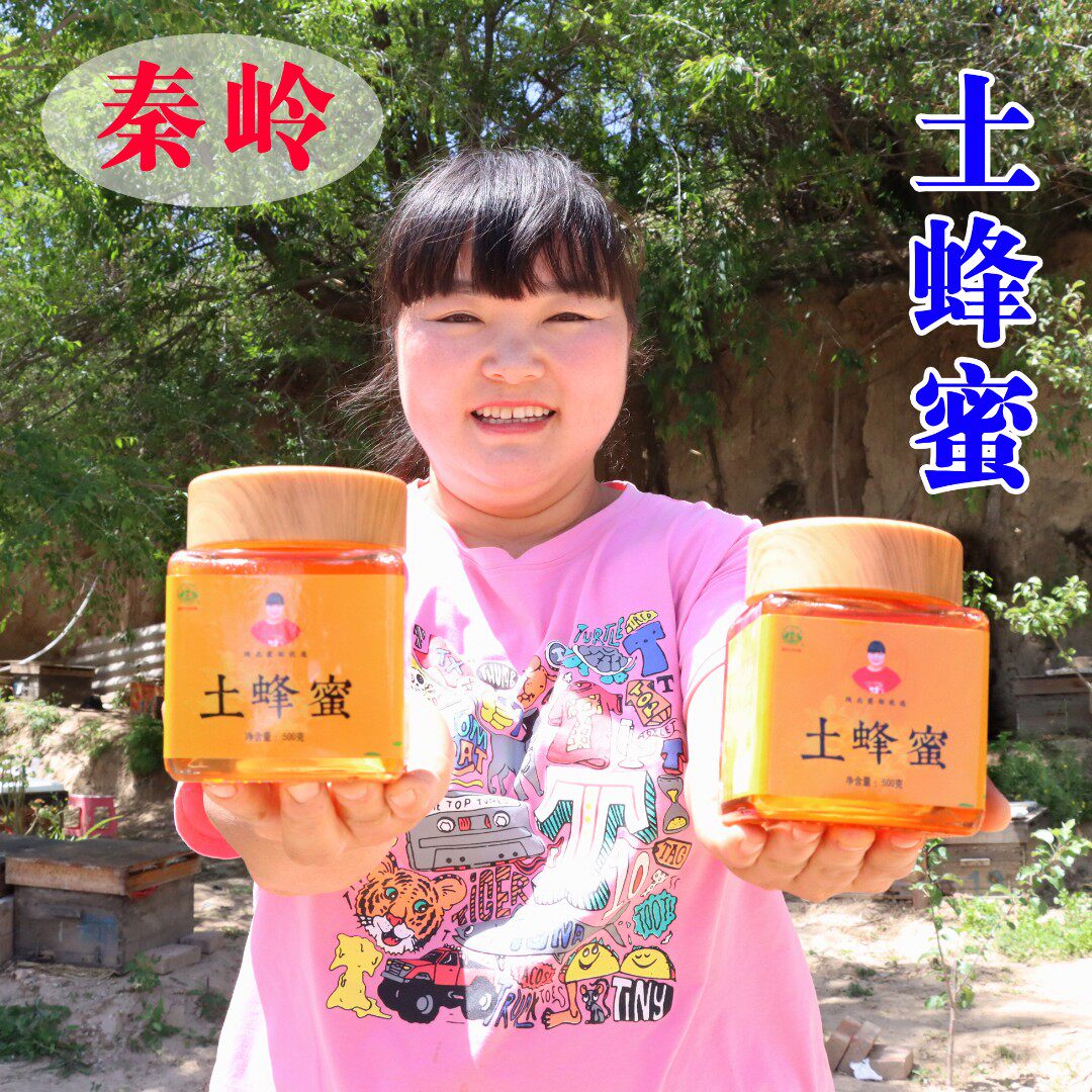 陕北霞姐精选原生态秦岭土蜂蜜500 克/瓶(包邮)