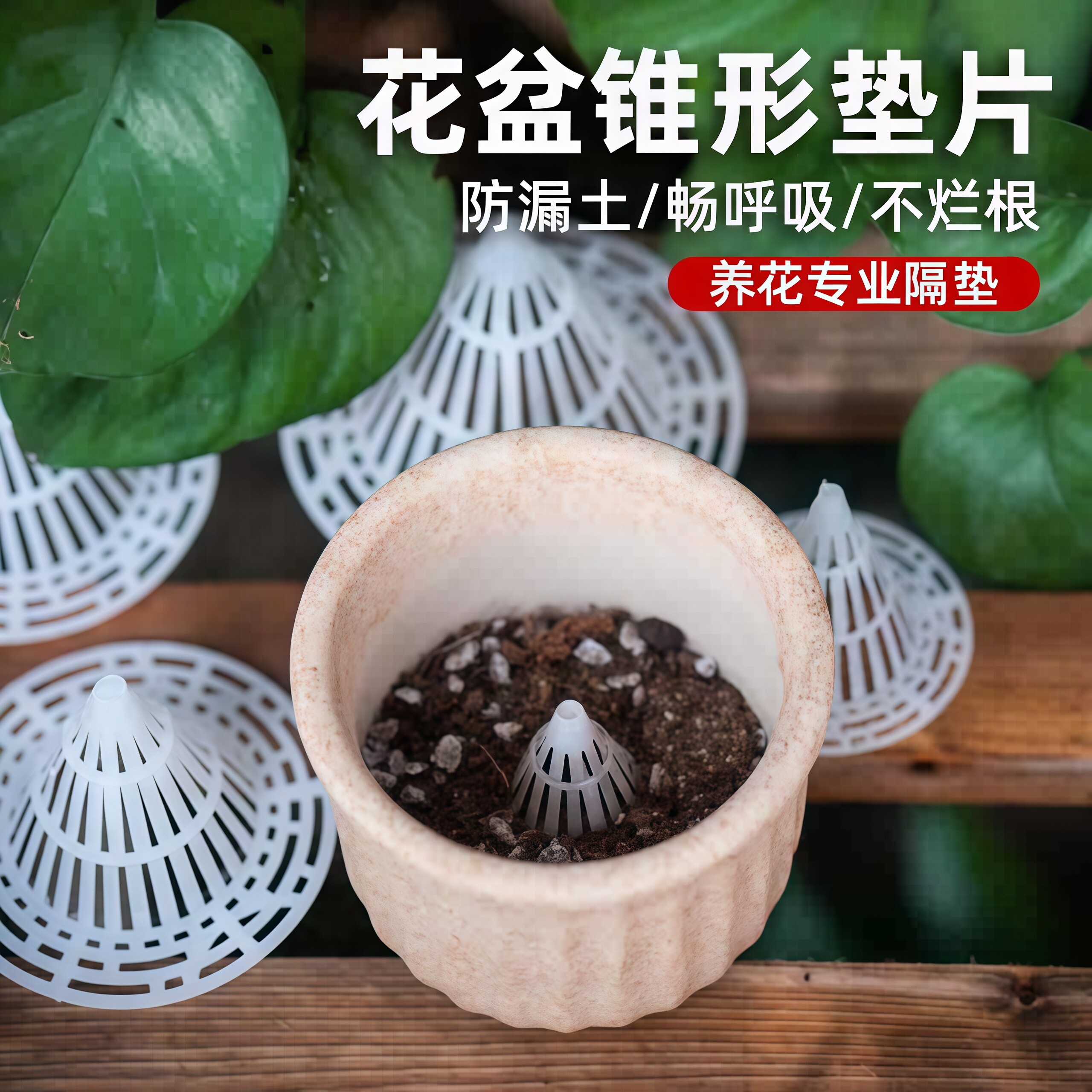 花盆底孔垫网圆形兰花沥水罩