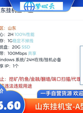 山东挂机宝-A型2H1G20G100Mbps，永久仅需399元