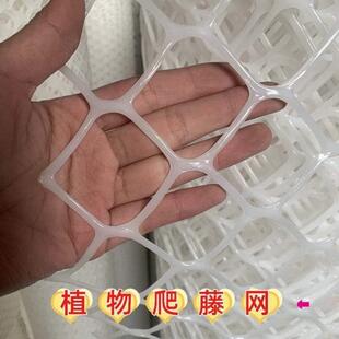 雪花藤新花架爬爬网架植物月季爬爬墙藤蔓蓝蔷薇网藤风车茉莉架子