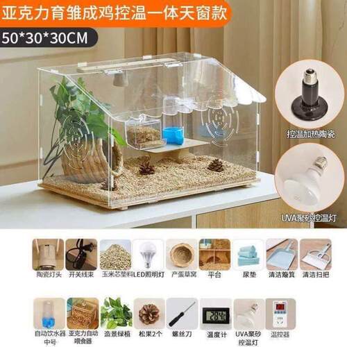 鸟笼饲养造景子鸡鸡笼新款养箱专用卢丁鸡亚克力箱芦丁全套宠物箱