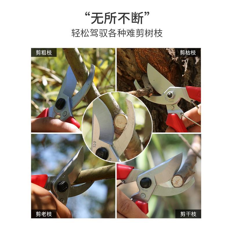 爱丽斯剪刀修枝剪家用120DX修花进口果树粗枝剪省力园艺剪枝剪刀