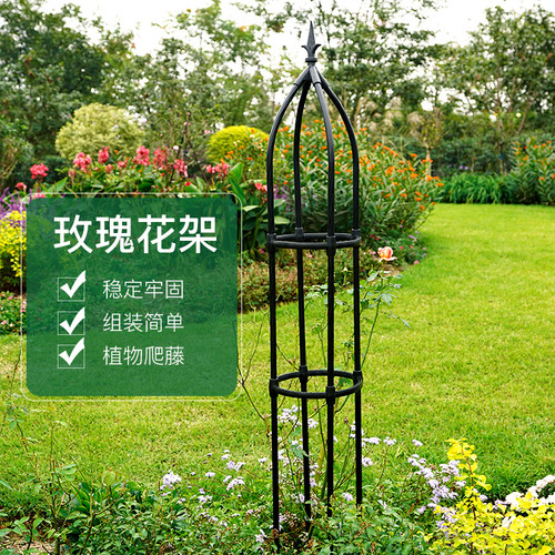 月季玫瑰花架爬藤架铁线莲架子攀爬植物室外包塑藤架花盆花架支架