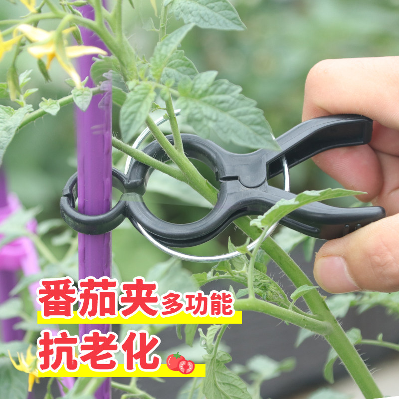 番茄夹子固定支撑架夹藤茄子豆角