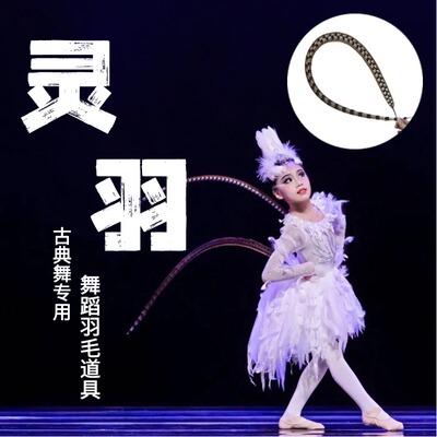 老师推荐古典舞专用舞蹈羽毛道具