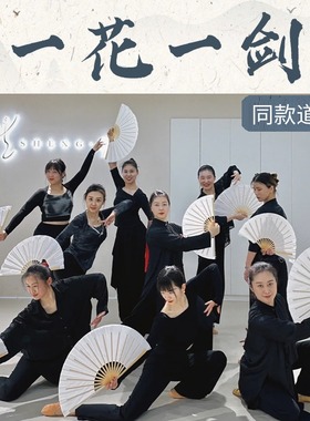 一花一剑同款舞蹈专用扇子中国风纸扇书生扇子跳舞专用古典舞折扇