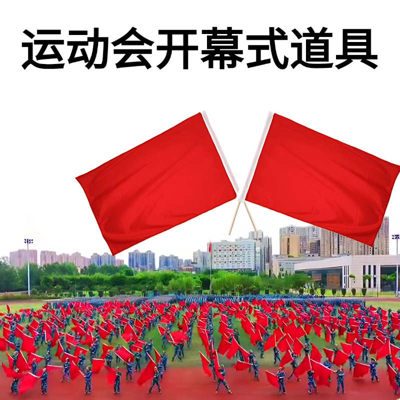 运动会开幕式儿童手持小红旗