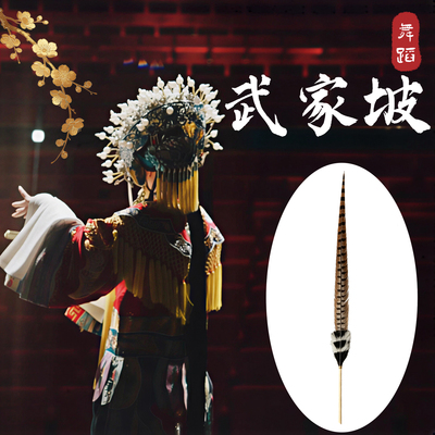 戏曲翎羽羽毛跳舞表演舞蹈道具
