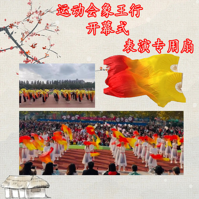 运动会专用开幕式跳舞扇子