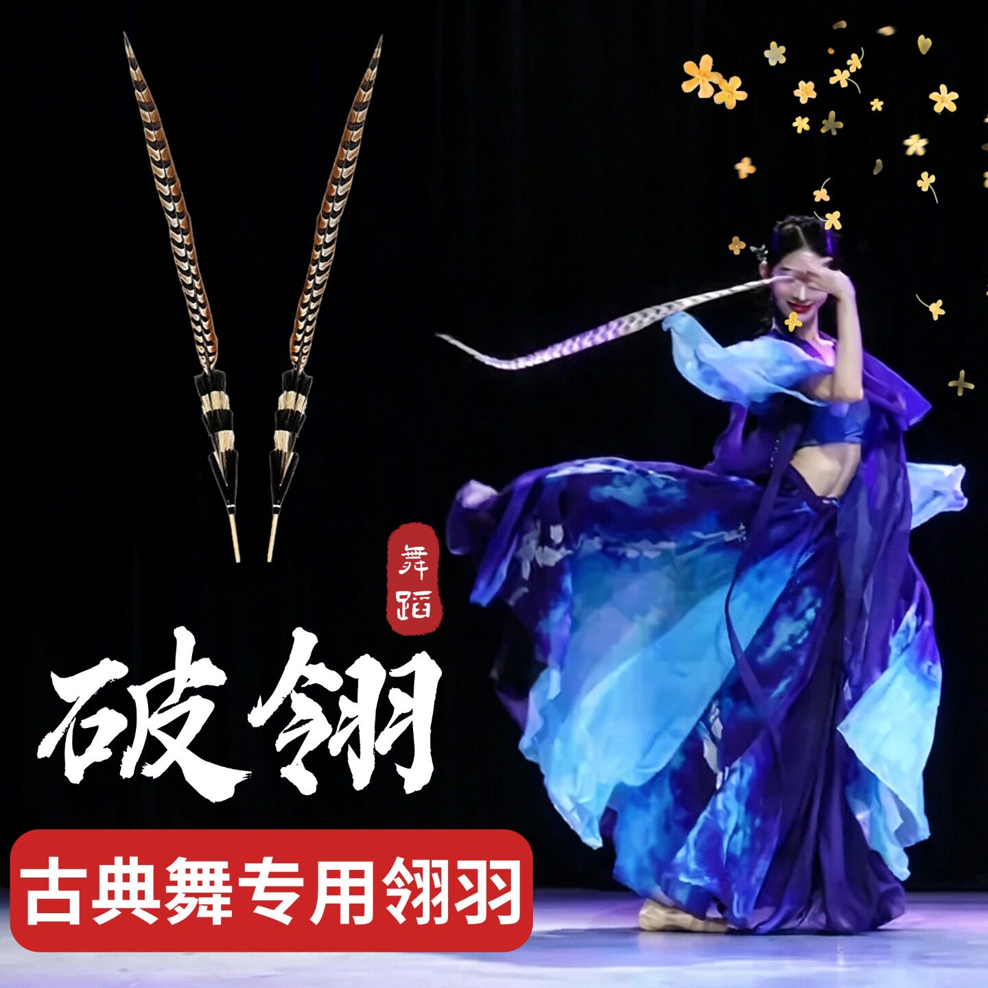 破翎翎子舞蹈道具翎羽羽毛京剧戏曲翎毛古典舞跳舞表演出专用道具