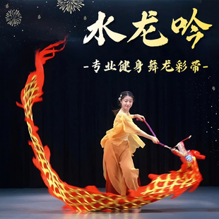 舞龙彩带健身龙水龙吟成人舞蹈表演专用手甩龙头中国传统文化道具