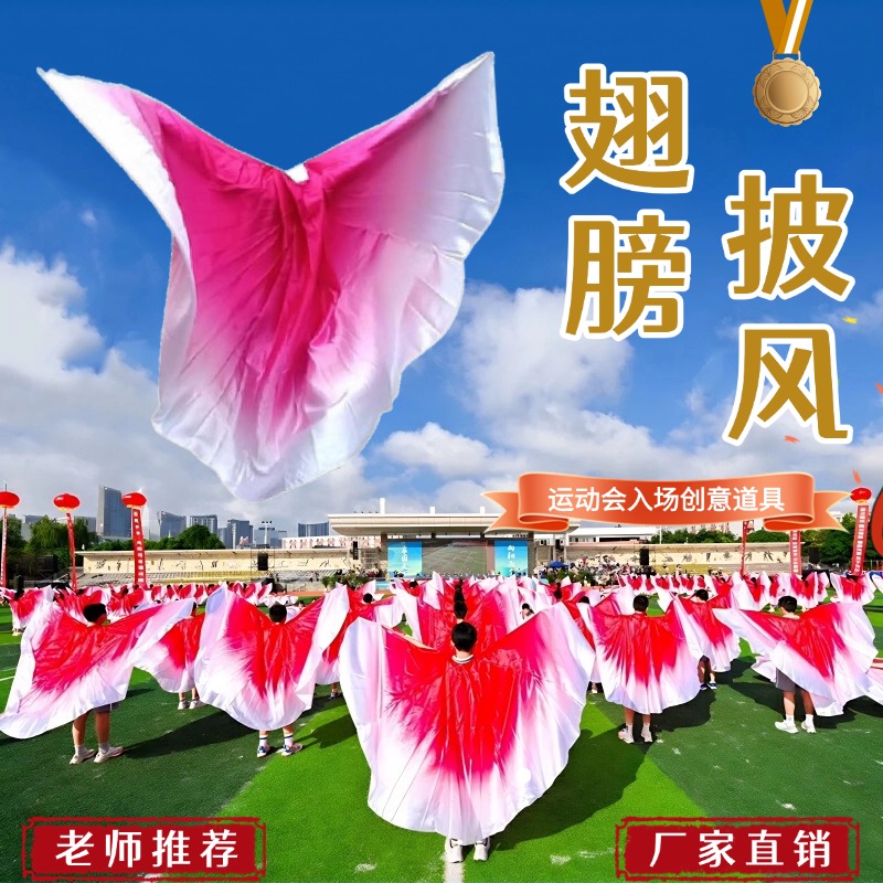 运动会团体操专用翅膀披风道具