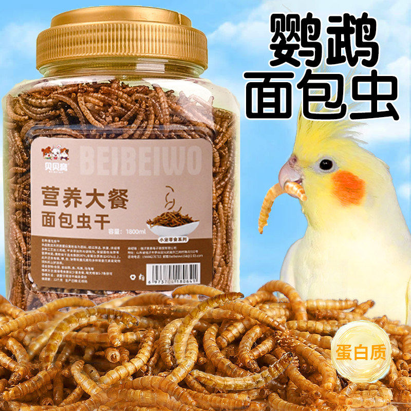 鹦鹉面包虫干奖励零食吃的虫子虎皮玄凤专用营养鸟粮饲料用品大全