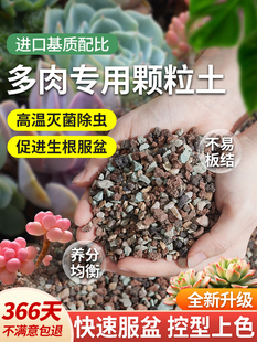 多肉养分土壤颗粒专用土壤种植多肉土壤花卉栽培通用泥植物花土铺