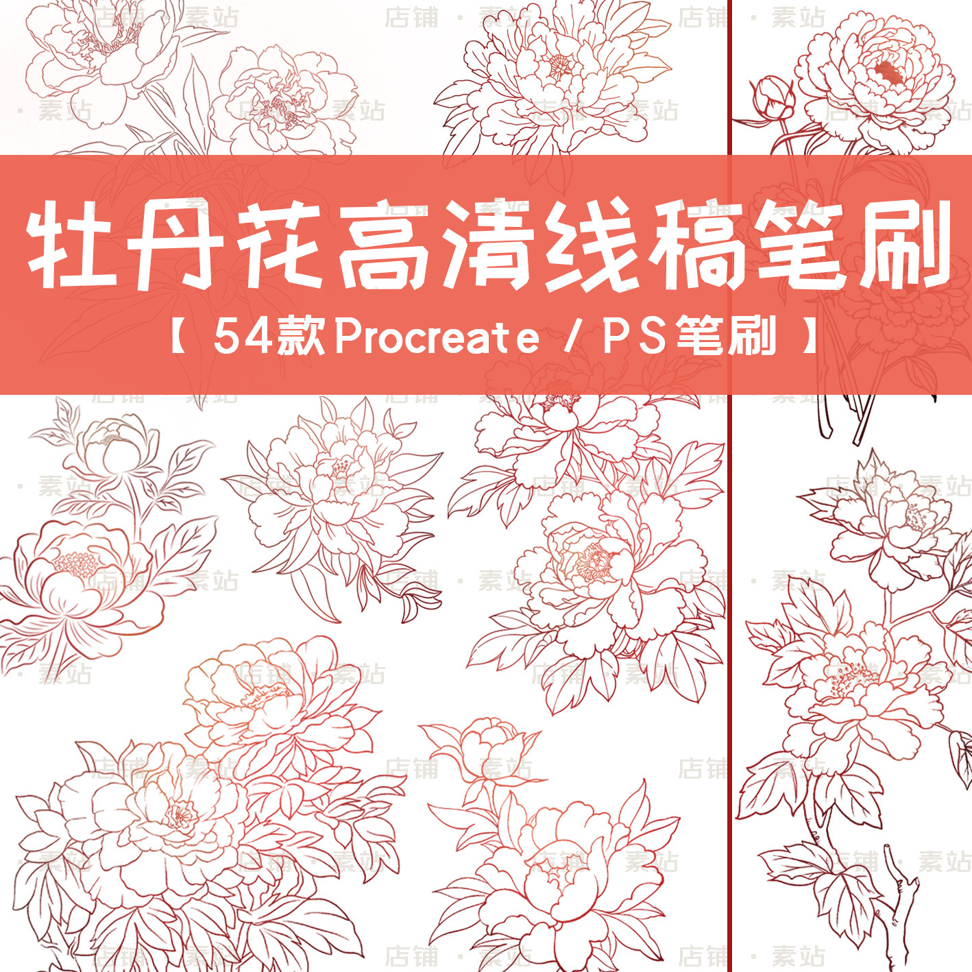 超高清牡丹线稿笔刷 植物花朵线条牡丹花图案 Procreate/PS笔刷