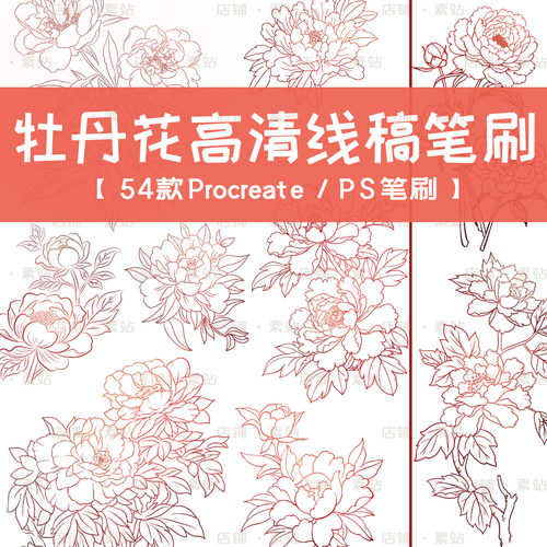 超高清牡丹线稿笔刷 植物花朵线条牡丹花图案 Procreate/PS笔刷