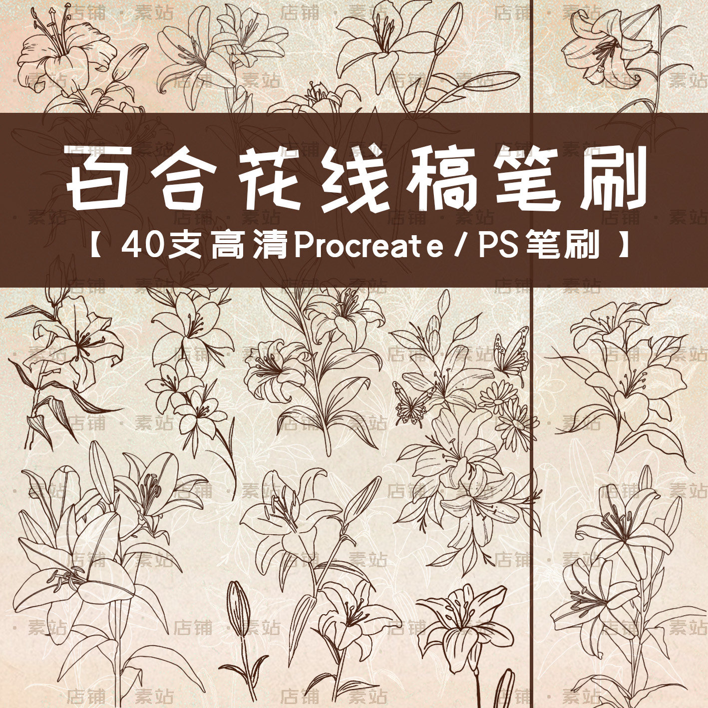植物花卉线稿笔刷 超高清百合花线条线稿图案 Procreate/PS笔刷