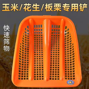 钢化塑料筛网锹农用多功能捡花生玉米板栗加厚镂空大簸箕漏土神器