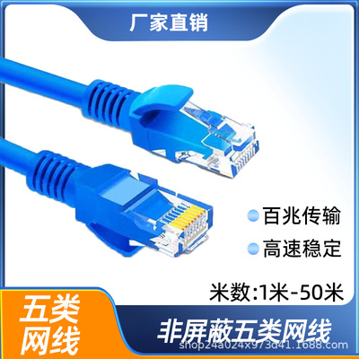超五类双绞线CAT5E网线跳线路由器5类百兆连接1/2/3米