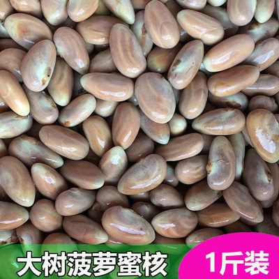 粤西大树菠萝蜜核干包湿包蜜核仁籽水果核新鲜菠萝核