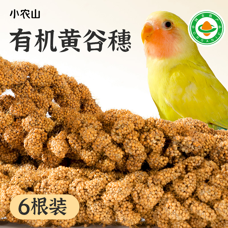 超大6根装鹦鹉有机谷穗当季新谷