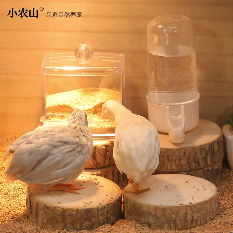 芦丁鸡喂食台喂食器饮水器木墩