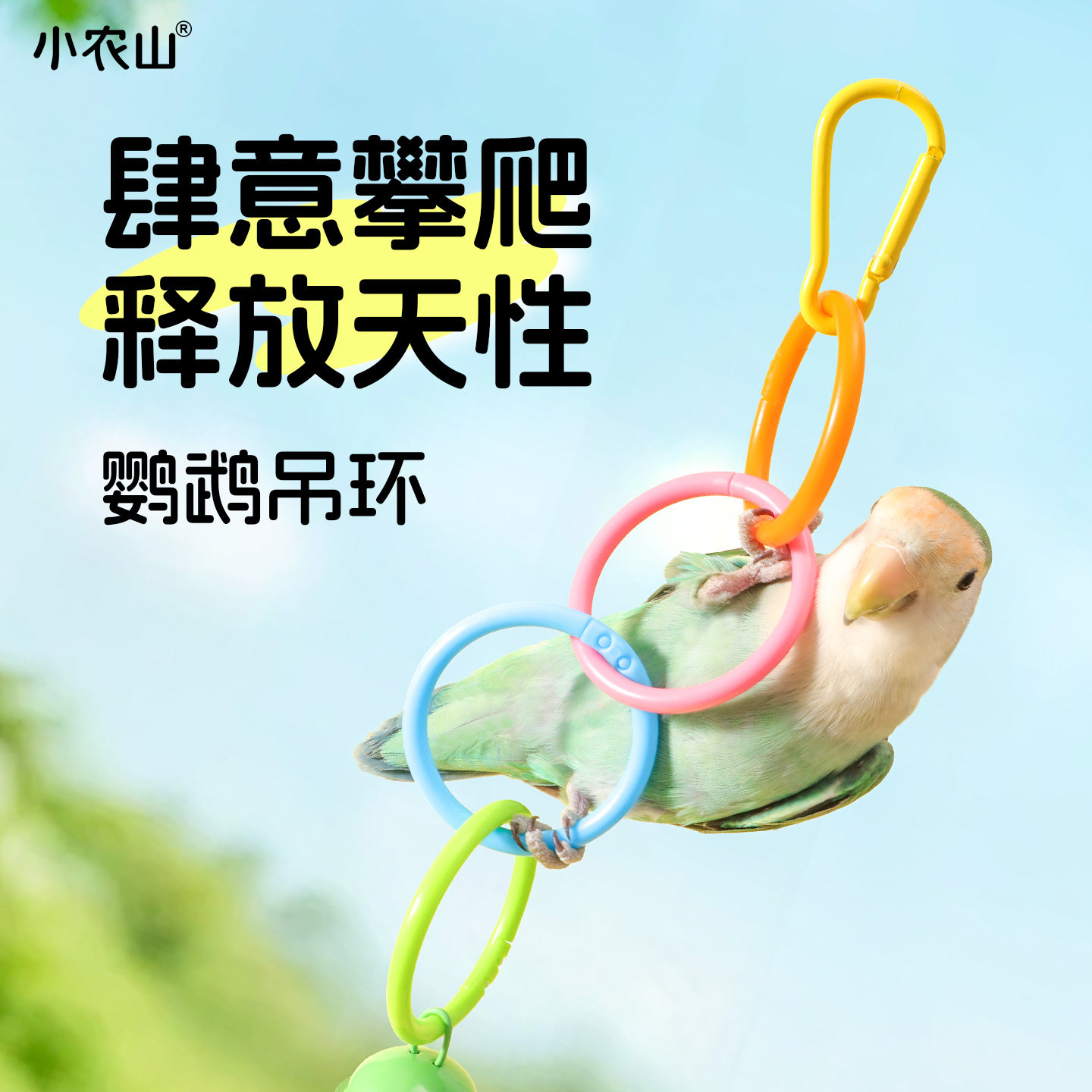 鹦鹉彩色吊环秋千云梯攀爬玩具