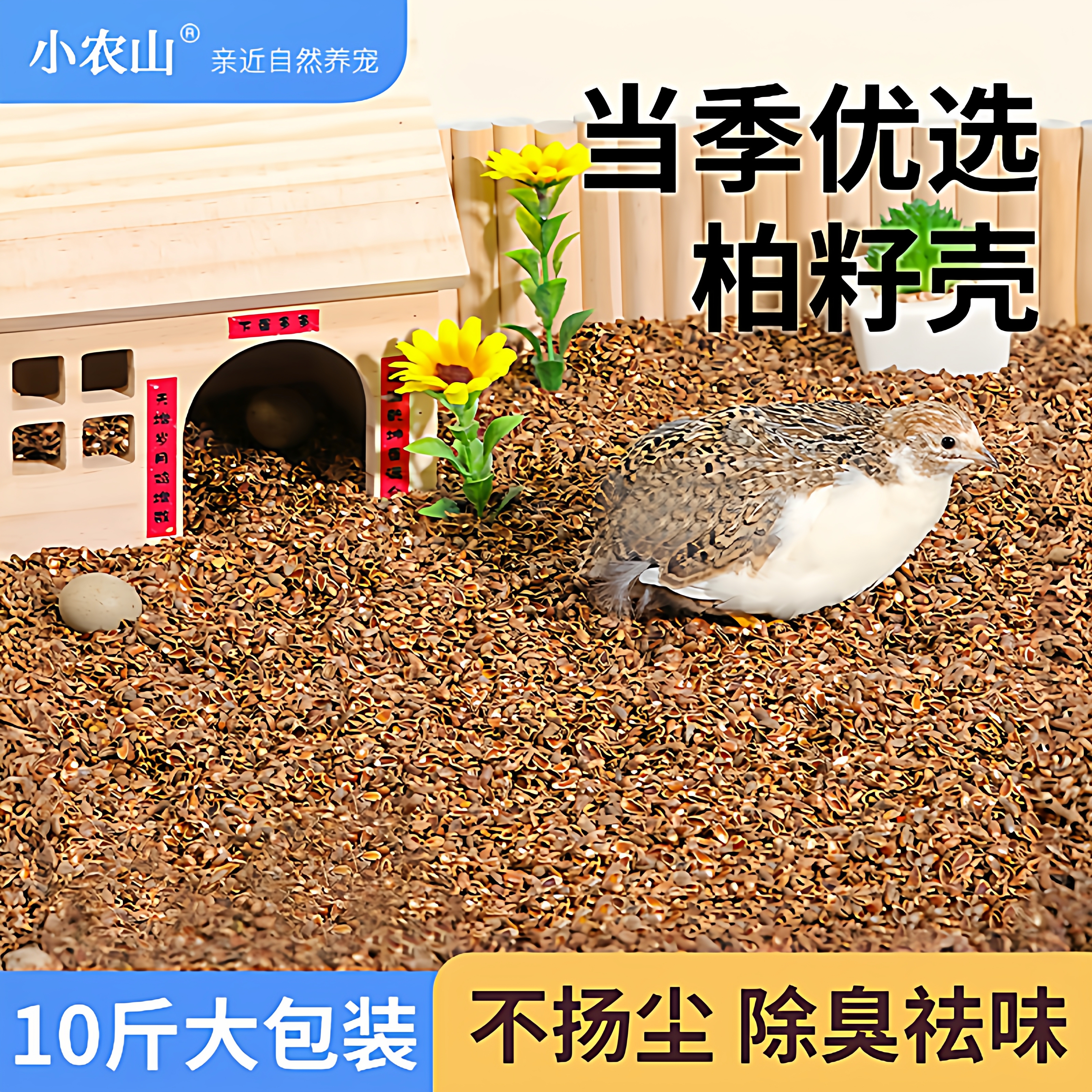 当季芦丁鸡柏子壳垫料天然除臭