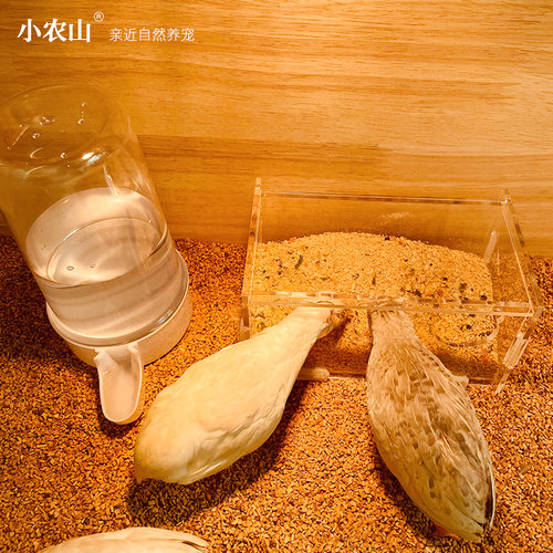 芦丁鸡喂食喂水器水壶食盒亚克力