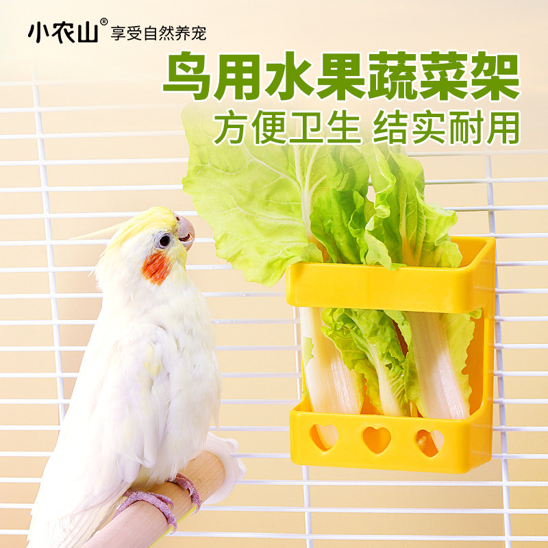 虎皮玄凤鹦鹉芦丁鸡蔬菜架子水果叉墨鱼骨零食喂食器鸟食盒喂鸟器,宠物/宠物食品及用品,鸟禽喂食器/喂水器,淘宝优惠券,粉丝福利购,淘宝优惠卷