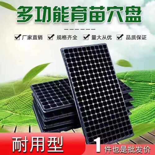 72穴育苗盆育秧盘50大号多肉128穴盘西瓜专用育苗盘玉米豇豆种子