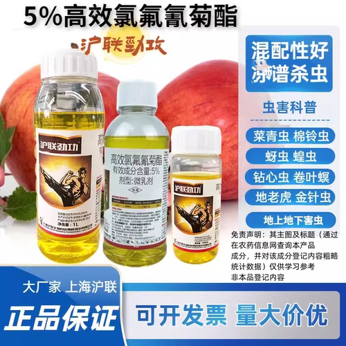 沪联劲功5%高效氯氟氰菊酯菜青虫